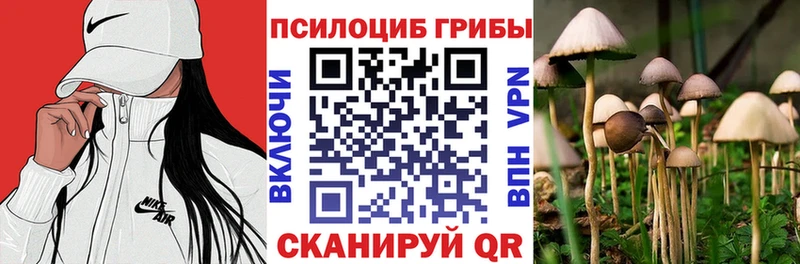 Псилоцибиновые грибы Psilocybine cubensis  даркнет сайт  Шилка 